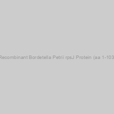 Image of Recombinant Bordetella Petrii rpsJ Protein (aa 1-103)